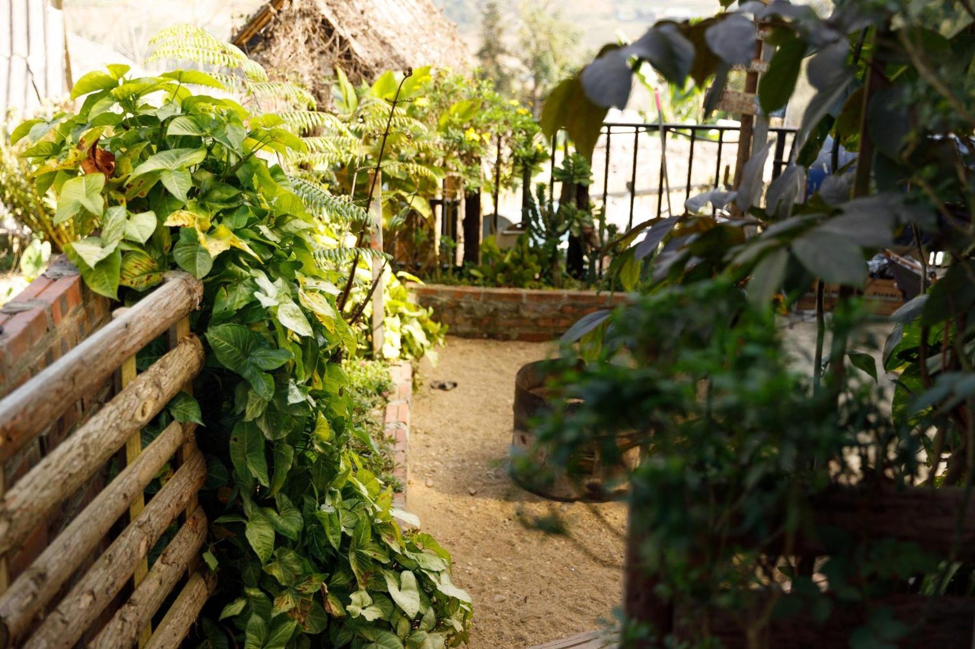 Sapa Plum Eco House Ξενοδοχείο Εξωτερικό φωτογραφία